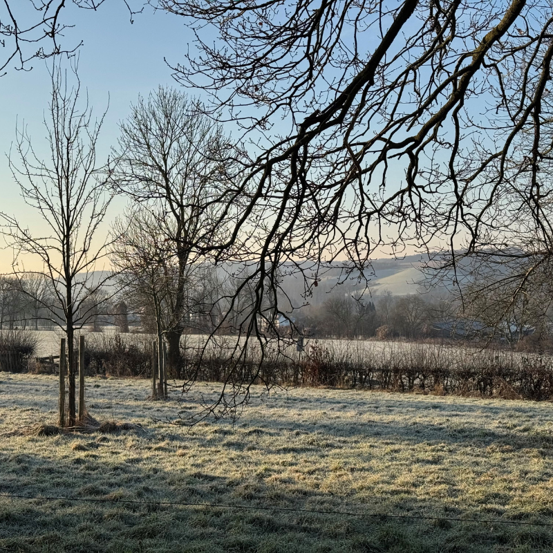 OmgevingWijlre_1 Foto van het Zuid-Limburgse landschap